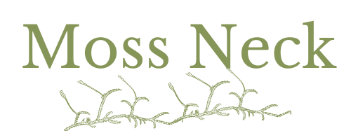 Moss Neck – Robeson County, North Carolina